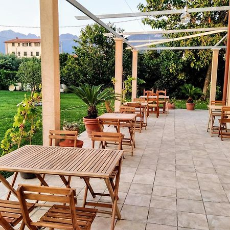 Agriturismo La Vite Maritata Pietrasanta Exteriör bild