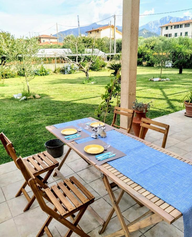 Agriturismo La Vite Maritata Pietrasanta Exteriör bild
