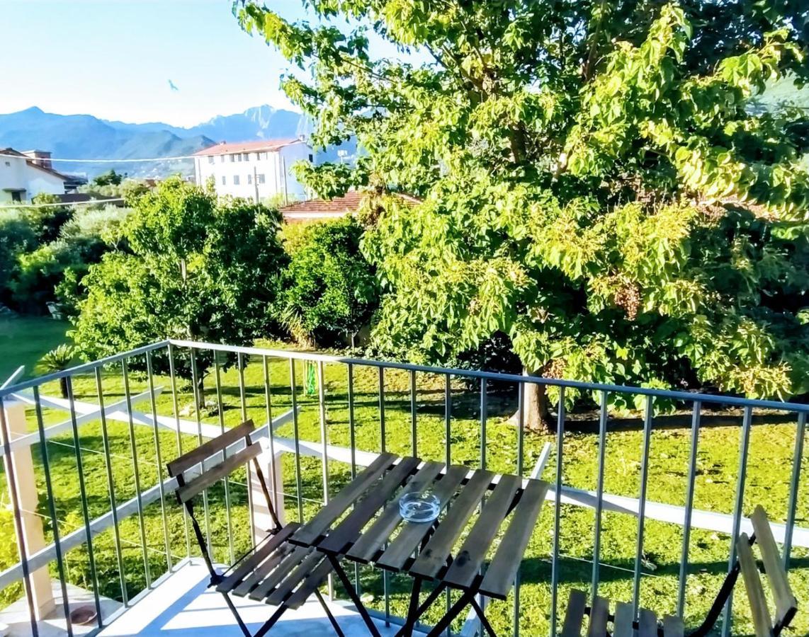 Agriturismo La Vite Maritata Pietrasanta Exteriör bild
