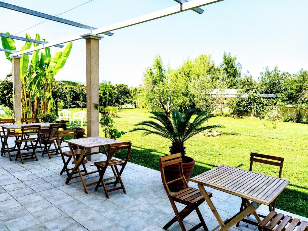 Agriturismo La Vite Maritata Pietrasanta Exteriör bild