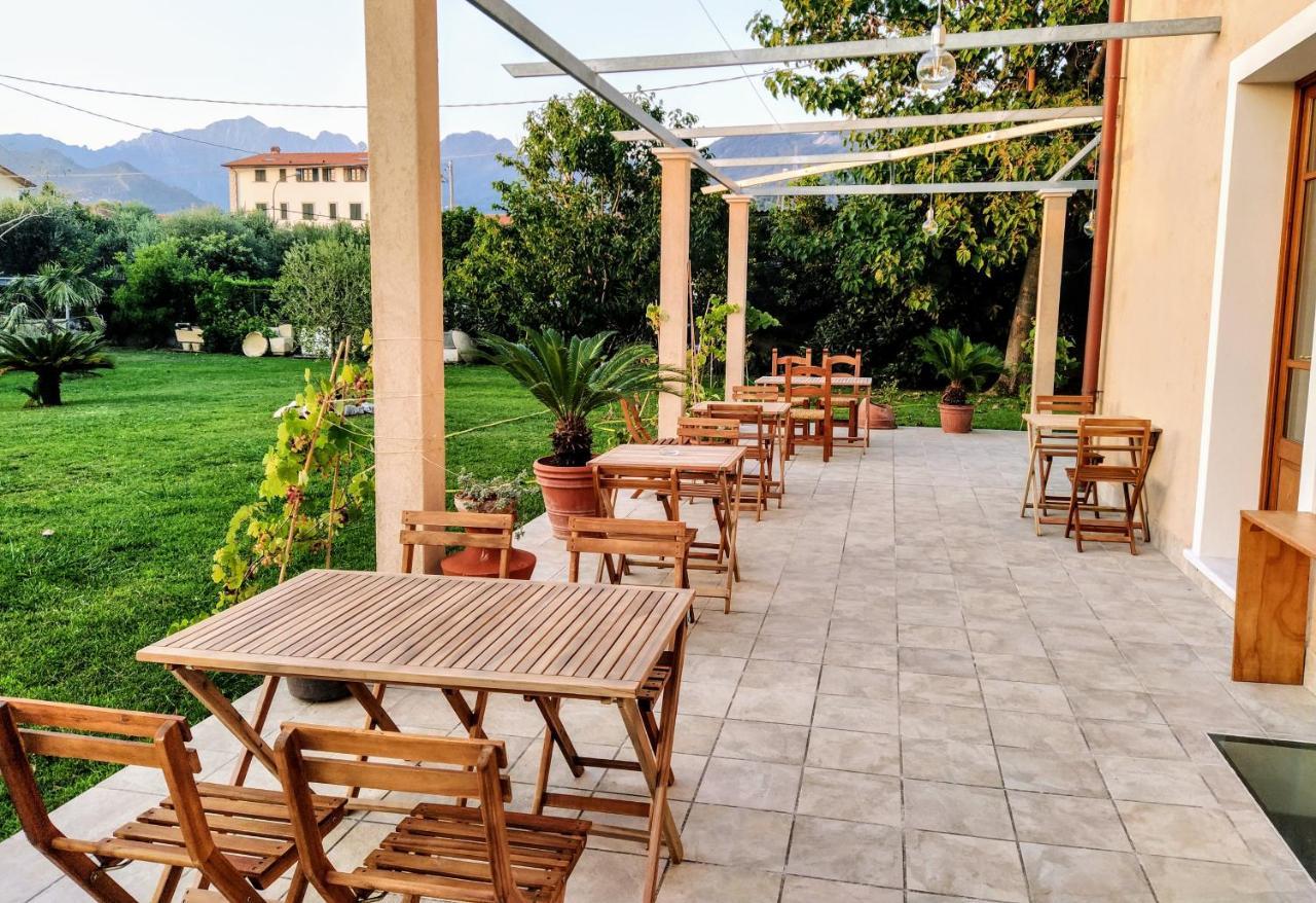 Agriturismo La Vite Maritata Pietrasanta Exteriör bild